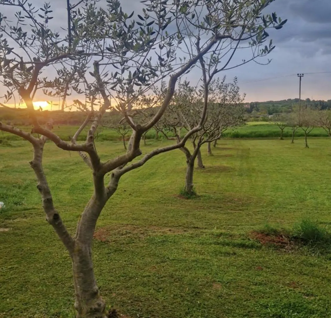 Apartmani Marino רוביני