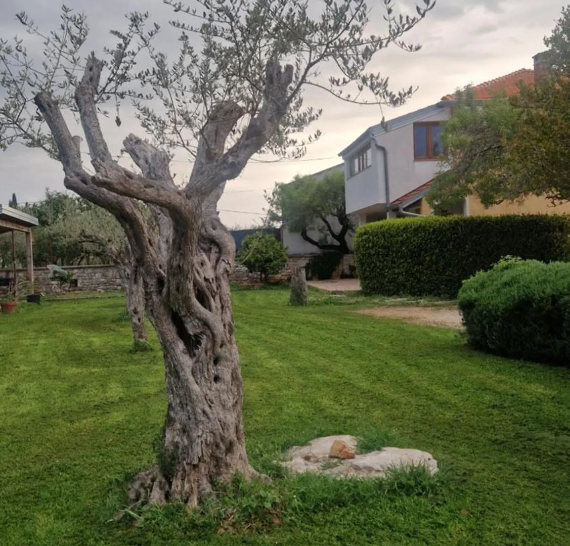 דירה Apartmani Marino רוביני